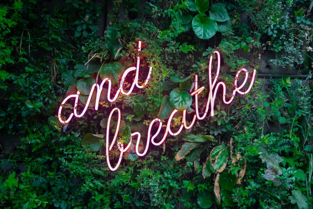 Plants with breathe mantra